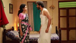 Raja Rani S02E533 Archana's Secret Plan Full Episode