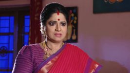 Savitramma Gari Abbayi S01E110 Savitri Refuses the Gift Full Episode