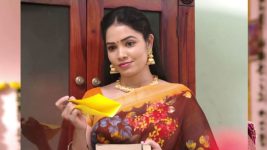 Savitramma Gari Abbayi S01E183 Chandrakala's Evil Plan Full Episode