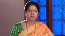 Savitramma Gari Abbayi S01E192 Jamuna Blames Nageshwar Rao Full Episode