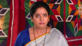 Savitramma Gari Abbayi S01E205 Jamuna to Stop the Wedding? Full Episode