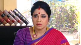 Savitramma Gari Abbayi S01E253 Savitri Seeks Jhansi's Help Full Episode