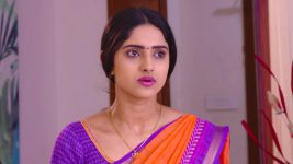 Savitramma Gari Abbayi S01E254 Nandini Hands over the Business Full Episode