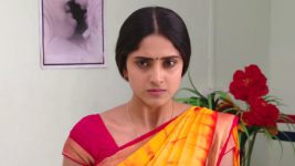 Savitramma Gari Abbayi S01E256 Nandini's Shocking Decision Full Episode