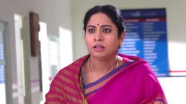 Savitramma Gari Abbayi S01E273 A Shock Awaits Jamuna Full Episode