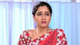 Savitramma Gari Abbayi S01E276 Nandini Recovers from Coma Full Episode