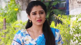 Savitramma Gari Abbayi S01E284 Nandini Saves Savitri Full Episode