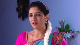 Savitramma Gari Abbayi S01E291 Nandini Gets Heartbroken Full Episode