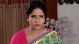 Savitramma Gari Abbayi S01E366 Jamuna Gets Aggressive Full Episode