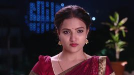 Savitramma Gari Abbayi S01E374 What Is Myna up To? Full Episode