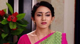 Savitramma Gari Abbayi S01E375 Nandini Is Heartbroken Full Episode