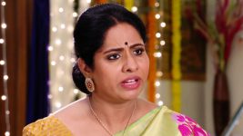 Savitramma Gari Abbayi S01E384 Jamuna Ill-treats Nandini Full Episode