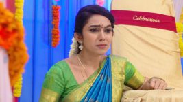 Savitramma Gari Abbayi S01E393 Nandini Is Heartbroken Full Episode