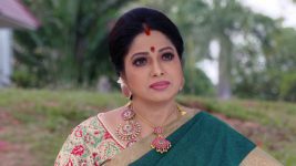 Savitramma Gari Abbayi S01E409 Savitri to Trouble Myna? Full Episode