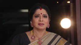 Savitramma Gari Abbayi S01E426 Good Times for Savitri's Family Full Episode