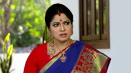 Savitramma Gari Abbayi S01E449 Savitri Suspects Myna Full Episode