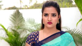 Savitramma Gari Abbayi S01E459 Myna's Plans Misfire Full Episode