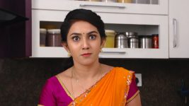 Savitramma Gari Abbayi S01E476 A Shocker for Nandini Full Episode