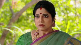 Savitramma Gari Abbayi S01E482 Savitri Unfolds the Truth Full Episode