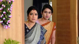 Savitramma Gari Abbayi S01E484 Savitri, Nandini Have a Plan Full Episode