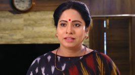 Savitramma Gari Abbayi S01E488 Jamuna's Humble Plea Full Episode