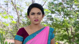 Savitramma Gari Abbayi S01E489 Nandini Is Disturbed Full Episode