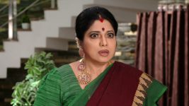 Savitramma Gari Abbayi S01E490 Savitri Is in for a Shock Full Episode