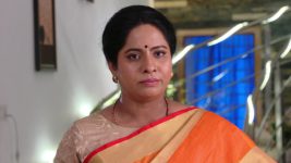 Savitramma Gari Abbayi S01E491 Jamuna's Hatred for Nandini Full Episode