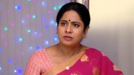 Savitramma Gari Abbayi S01E508 Jamuna Backs Myna Full Episode