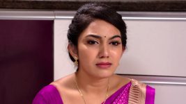 Savitramma Gari Abbayi S01E518 Nandini in Pain Full Episode