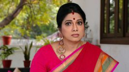 Savitramma Gari Abbayi S01E520 Savitri, Nandini Confront Myna Full Episode