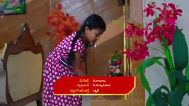 Paape Maa Jeevana Jyothi S01 E517 Kutti Visits Kittu