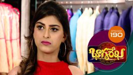 Bhagyarekha S01E190 14th February 2020 Full Episode