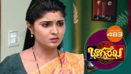 Bhagyarekha S01E483 21st May 2021 Full Episode