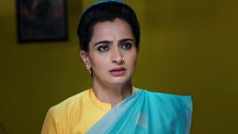 Karthika Deepam S01 E1520 A Stunner for Soundarya