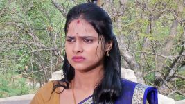 Lakshmi Baramma S01E911 19th January 2016 Full Episode