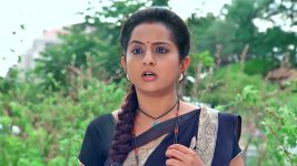 Lakshmi Kalyanam (Star Maa) S05E288 Lakshmi Learns About Her Twin Full Episode