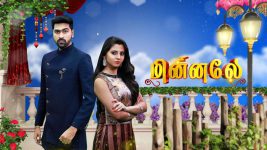 Minnale S01E254 17th June 2019 Full Episode