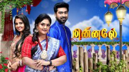 Minnale S01E276 12th July 2019 Full Episode