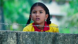 Paape Maa Jeevana Jyothi S01 E492 Kutti in Distress