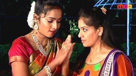 Sashirekha Parinayam S05E01 Janu, Dharani Spike Sashi's Drink Full Episode