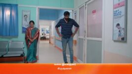 Ninaithale Inikkum S01 E444 19th January 2023