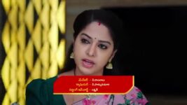 Paape Maa Jeevana Jyothi S01 E534 Surya Gets Enraged