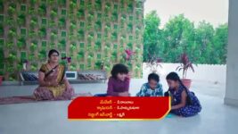 Paape Maa Jeevana Jyothi S01 E537 A Shocker for Yamini