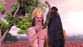 Radha Krishn S04 E253 Saambh Stops Jara