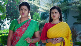 Paape Maa Jeevana Jyothi S01 E560 Indumathi, Yamini's Evil Intentions