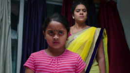 Paape Maa Jeevana Jyothi S01 E593 A Stunner for Jeevana