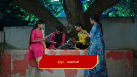 Paape Maa Jeevana Jyothi S01 E619 Kutti, Mallika Meet Again