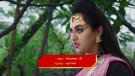 Naga Panchami (Star Maa) S01 E47 Vaidehi Gets Disappointed