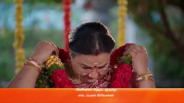 Ninaithale Inikkum S01 E544 6th May 2023